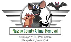 Nassau County | Animal Removal | New York | Wildlife